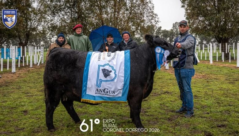 “El nivel de la exposición de Dorrego es muy destacado”