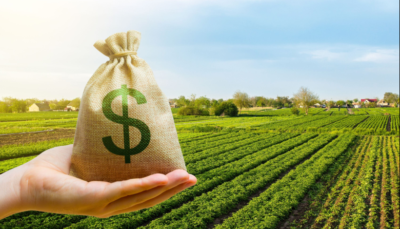 Presupuesto 2027: el sector agropecuario reclamará que los fondos del IVA perdieron más de 90% de su valor