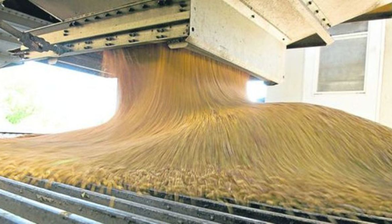 Fuertes subas en la producción, el comercio y el consumo mundial impulsan las perspectivas de la nueva campaña girasolera