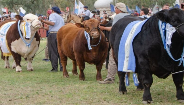 Llega la Expo Rural 2026 en Bahía Blanca