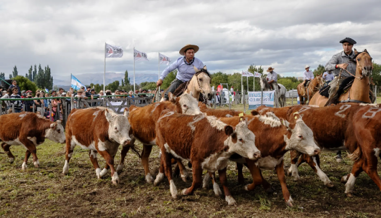Productores argentinos duplican en optimismo a los de Estados Unidos sobre el futuro del agro