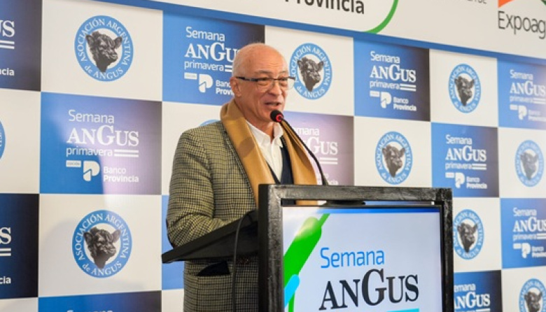 Angus busca posicionar a la carne argentina en los mercados internacionales