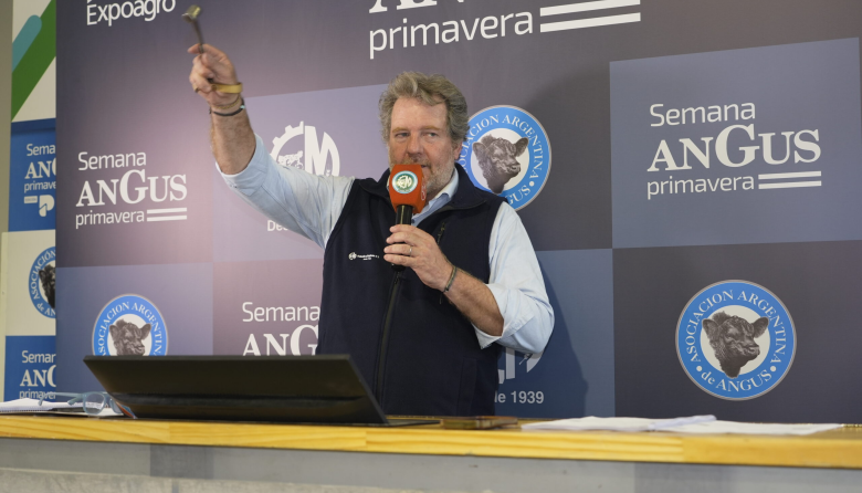 Colombo y Magliano vendió 11.000 cabezas