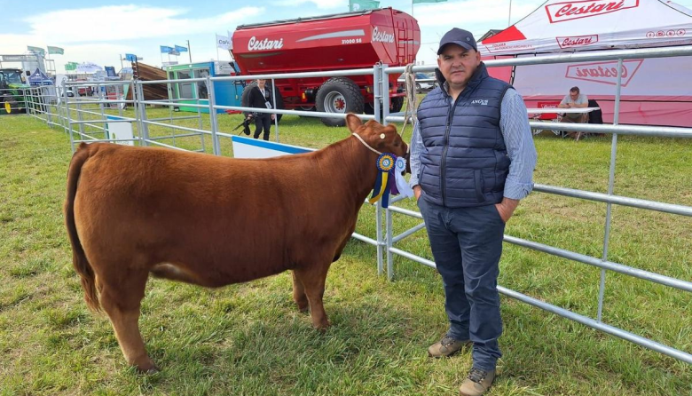 Angus no para de crecer: genética, carne y una marca argentina que gana el mundo
