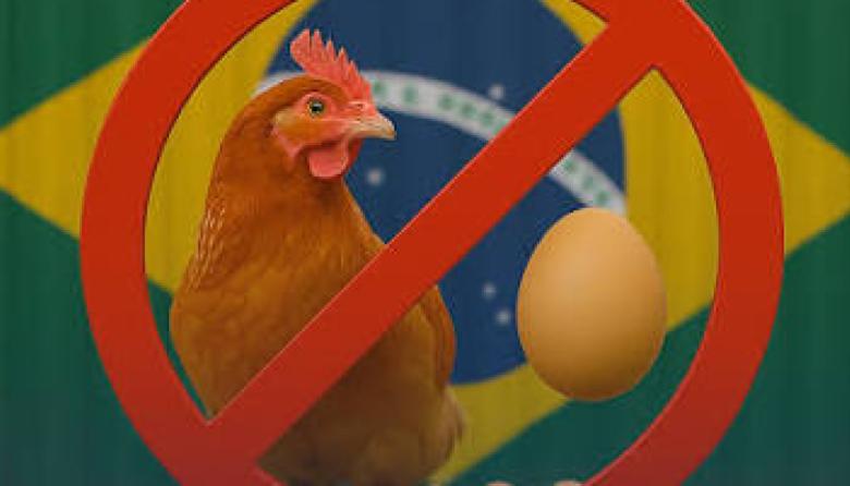 Con la suspensión a Brasil, Argentina puede recuperar terreno en el mercado europeo de carne aviar