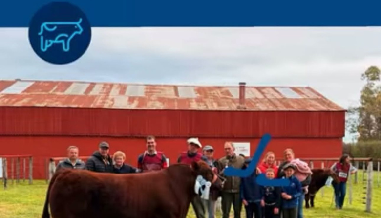 SHORTHORN: LOS GRANDES CAMPEONES VIAJARON A LA PAMPA