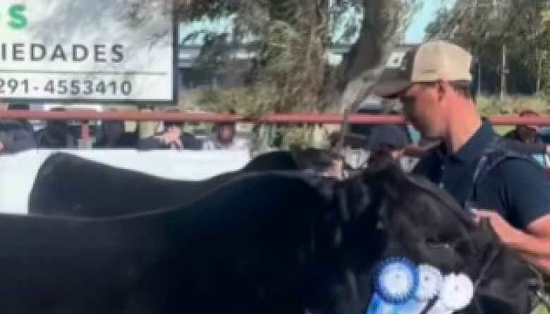 PAMPEANOS ENTRE LOS GRANDES CAMPEONES DE VILLA BORDEU