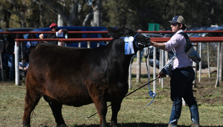 La 142º Exposición Nacional de Ganadería, Comercio e Industria volvió a demostrar su poder de convocatoria.