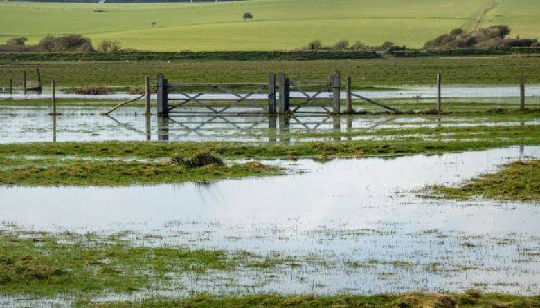 Leve disminución de la lluvias en el sudoeste bonaerense