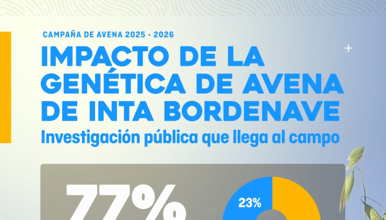 IMPACTO DE LA GENÉTICA DE AVENA DE INTA BORDENAVE 🌱