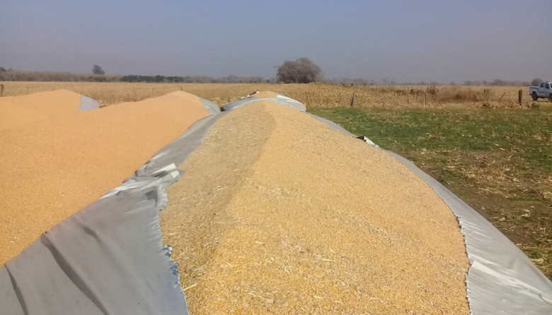 Vandalismo rural: ya tiene media sanción la ley que agrava las penas por invadir campos o romper silobolsas