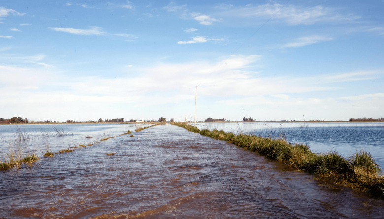 Declaran la emergencia agropecuaria por inundaciones en 2 partidos bonaerenses