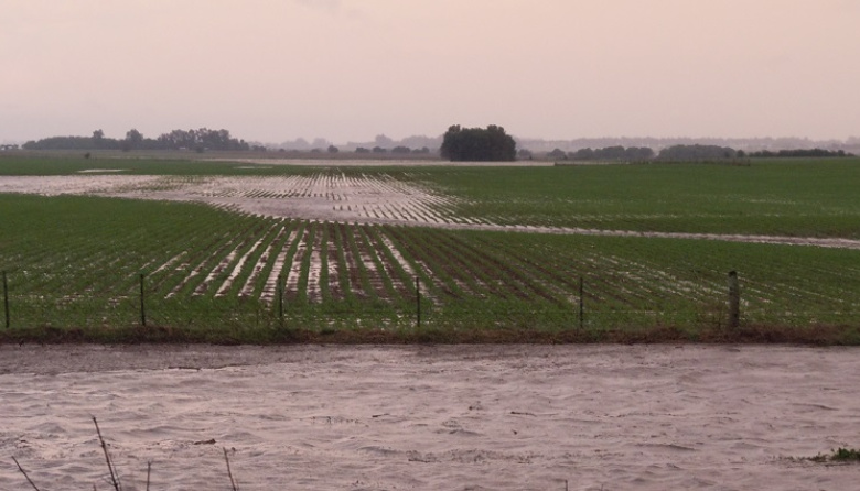 Lluvias desparejas y focos de tormentas marcarán la semana de inicio de noviembre