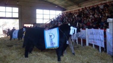 EXPO SAAVEDRA 2024  20 al 22 de Septiembre de 2024  Organiza la Asociación Rural del Pdo. de Saavedra