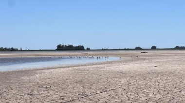 Prorrogan por cinco años dos leyes fundamentales para el Sudoeste Bonaerense