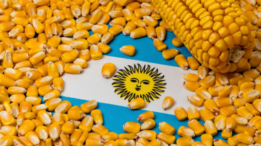 Argentina gana terreno en el mercado global de maíz