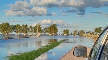 Bahía Blanca: desesperación, la difícil situación de los campos de la zona