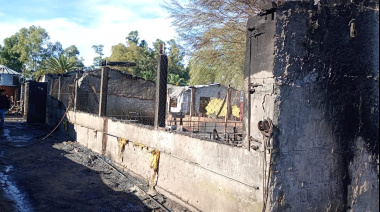 Carlos Casares: Un incendio en un criadero de cerdos, causo la muerte de 160 animales porcinos
