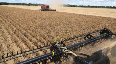 Pese al ritmo lento de cosecha, la soja proyecta su mejor producción en seis años