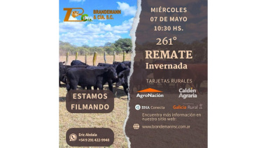 🐄 Aire de Campo informa los próximos remates 🐂