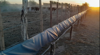 Un modelo innovador: los rastrojos se transforman en carne