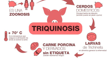Claves para prevenir la triquinosis en la producción y el consumo de alimentos