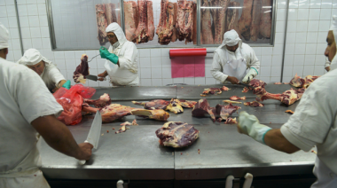 El Gobierno Nacional eliminó la normativa que establecía un peso mínimo de faena para bovinos