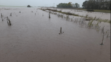 Un desastre en pleno otoño: Buenos Aires bajo el agua y hay alerta rojo por más lluvias