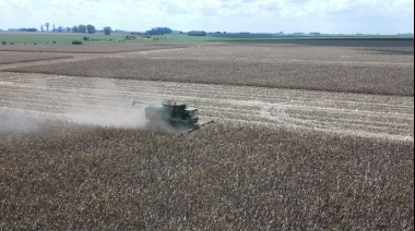 Nutrición: dudas y certezas sobre la toma de decisiones en la campaña agrícola