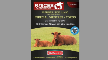REMATES 🐂