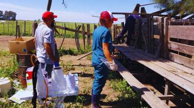 Pautas para el control de los parásitos internos en los rodeos