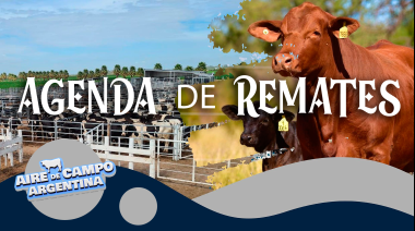 AGENDA DE REMATES 🐂