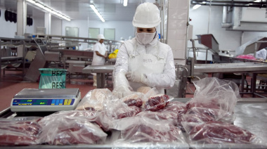 La cantidad exportada de carne vacuna se derrumba en 2025, pero crece el ingreso de dólares
