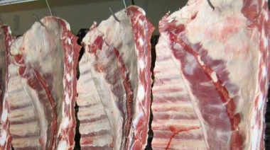 Chau a la barrera sanitaria: Gobierno autorizó el ingreso de carne con hueso a la Patagonia
