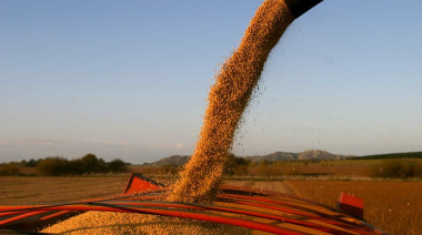 Suben las retenciones y crece el malestar en el campo: el Gobierno tensa su vínculo con el agro