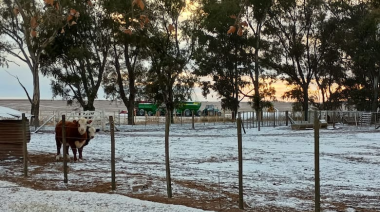 Nevadas atípicas y temperaturas extremas se registraron en zonas productivas del país