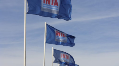 Filtran borrador del decreto de reforma de Inta e Inti, que perderían autonomía técnica y financiera