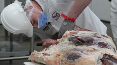 Brasil, en medio de la “guerra” de aranceles: ¿una oportunidad para la carne argentina?