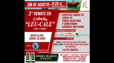 Futuros remates 🐂