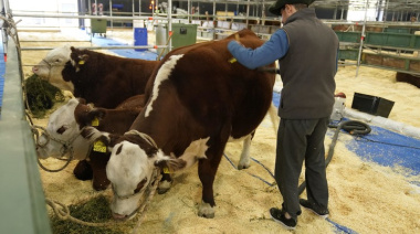 La Rural 2025: cuánto cuesta la entrada, quiénes entran gratis y las mejores exposiciones