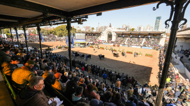 Las mejores terneras Angus fueron consagradas en Palermo