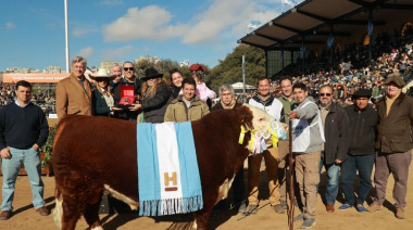Don Benjamín se llevó el Gran Campeón Macho Hereford en Palermo 2025