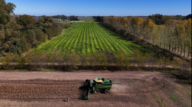 El campo podría aportar casi 29 mil millones de dólares más en los próximos 10 años