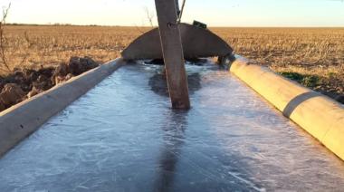 Presentan un bebedero que evita que se congele el agua