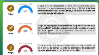 El sorgo, otro exponente de una cosecha que termina mejor de lo esperado
