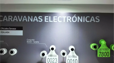 “La trazabilidad electrónica es un avance que no se puede detener y es más corto: si querés tener ganadería tenés que hacer este sistema ”