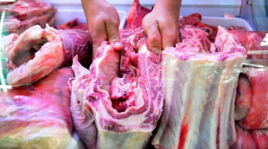 Grieta en las carnicerías patagónicas: diferencias de precios en el asado según su origen