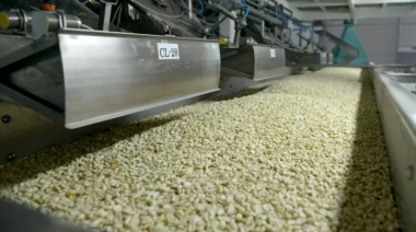 Ni soja, ni maíz: El cultivo que bate récords y le traerá a la Argentina un aluvión de dólares