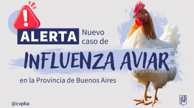 Influenza aviar: Argentina deberá esperar 28 días para restablecer su estatus sanitario en avicultura