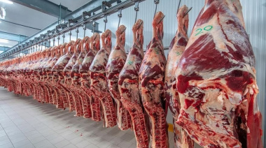 Exportaciones: la Argentina ya le vendió al mundo por US$39.741 millones y consolidó un liderazgo en cuatro grandes productos
